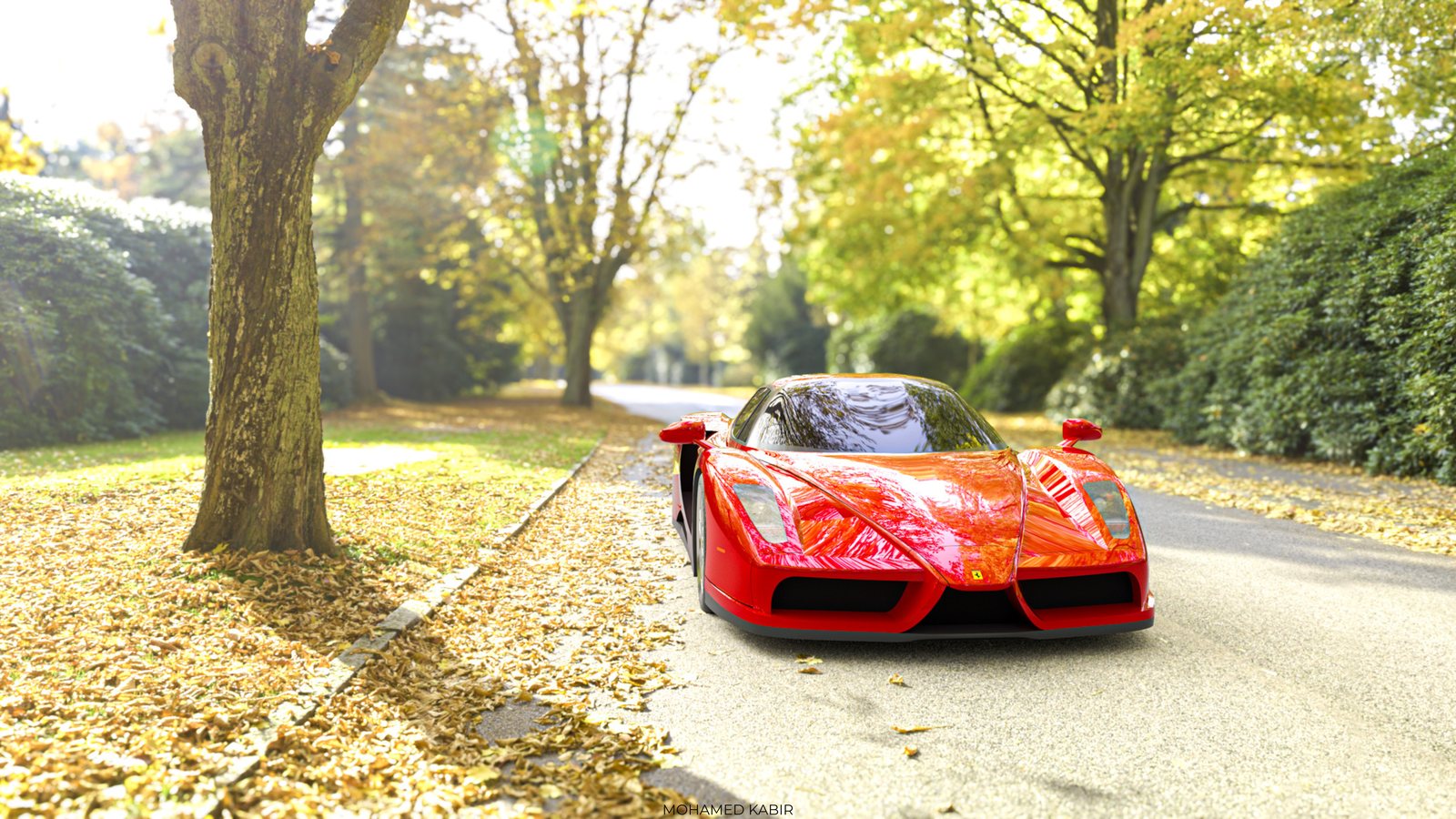 Ferrari Enzo Allée d'automne